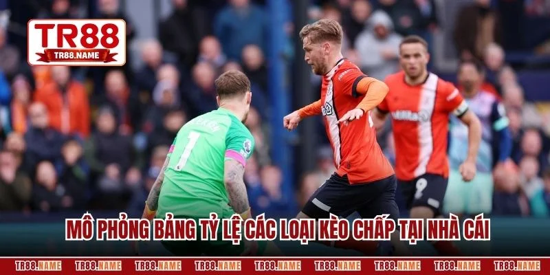 Mô phỏng bảng tỷ lệ các loại kèo chấp tại nhà cái